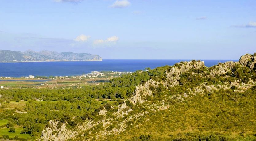 Photo of Honey & Palms