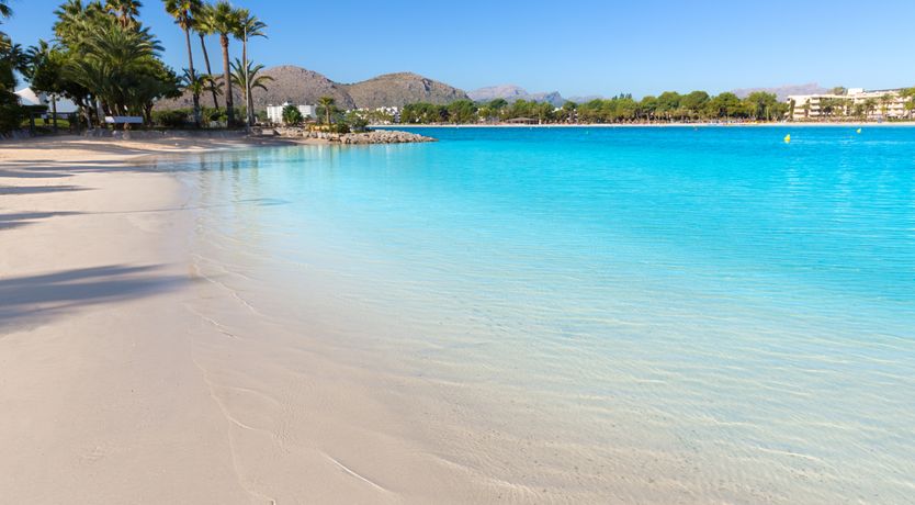 Photo of Honey & Palms