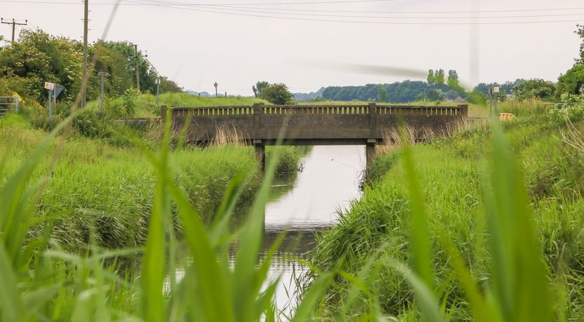 Photo of Ticklepenny