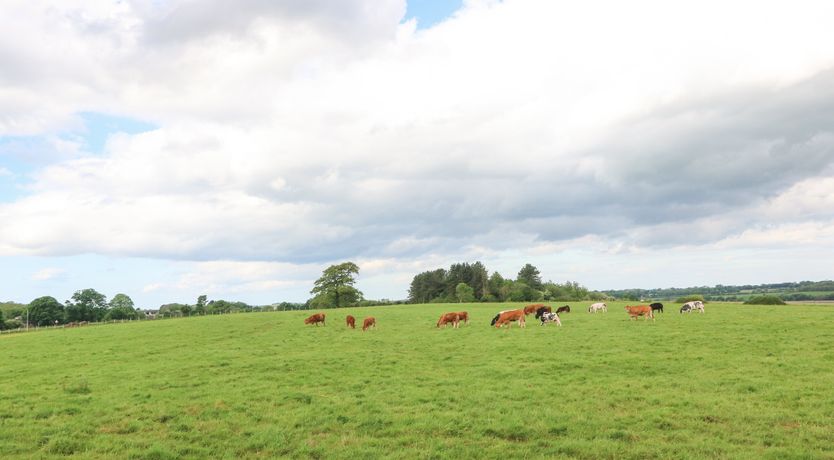 Photo of Gwel Y Fenai