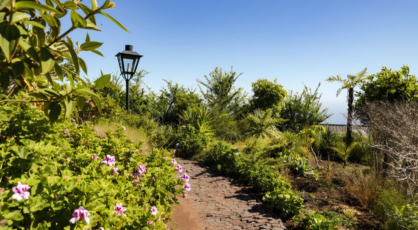 Photo of Misty Mountain Lodge