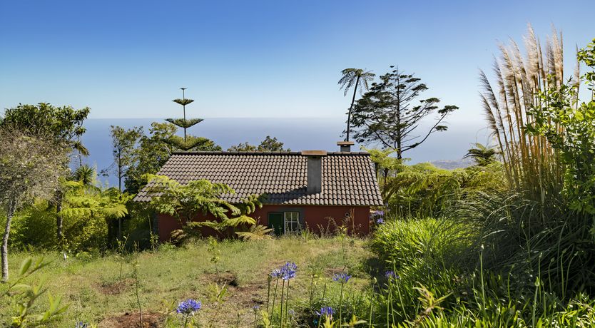 Photo of Misty Mountain Lodge