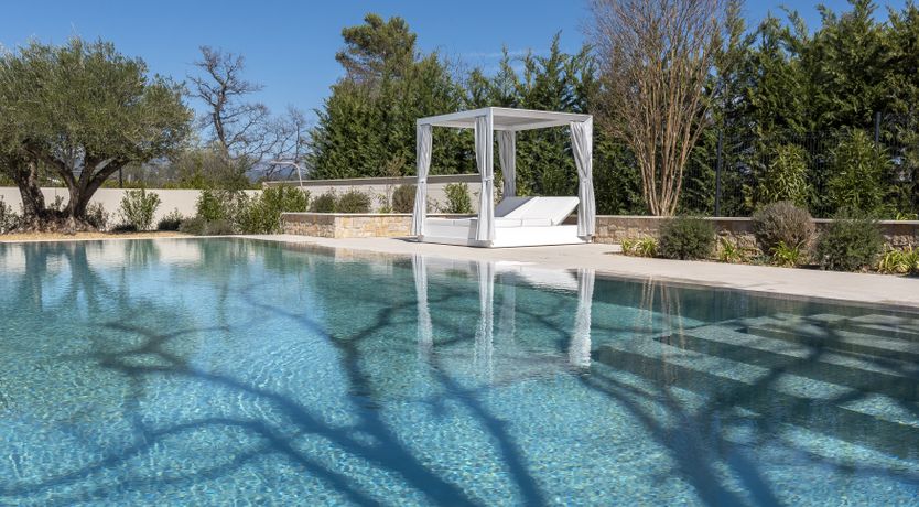 Photo of The Pine Dream