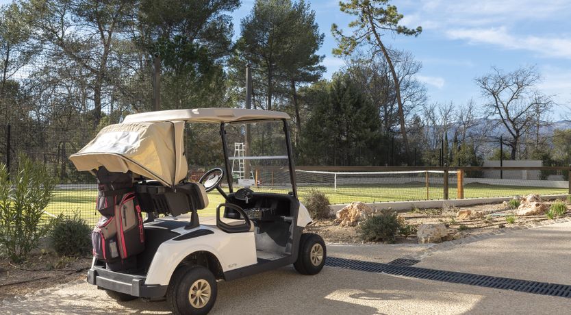 Photo of The Pine Dream