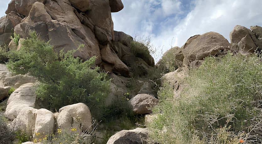 Photo of Desert Dream Retreat