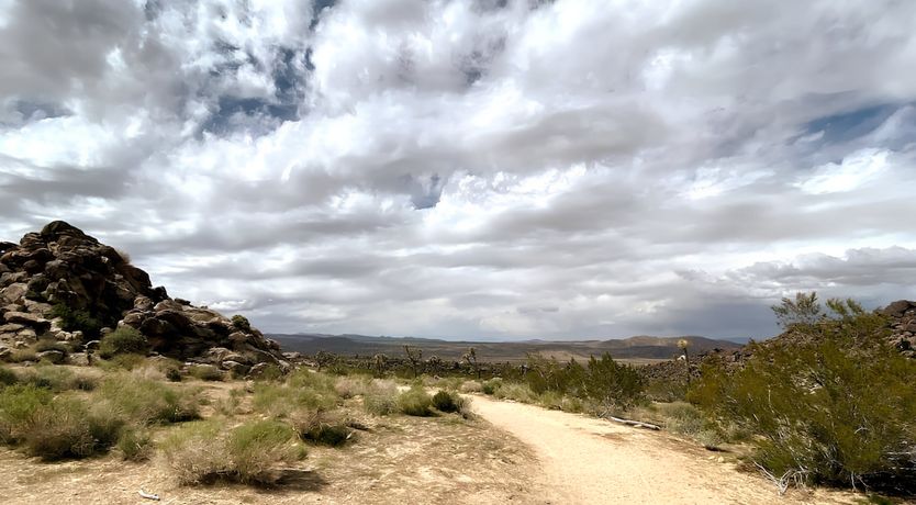 Photo of Desert Dream Retreat