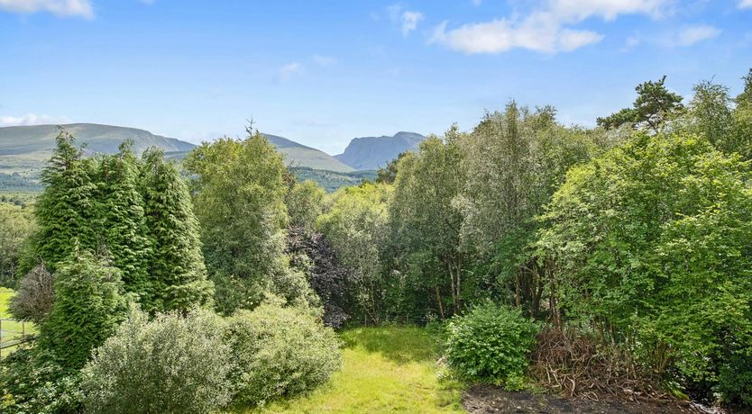 Photo of Wood Smoke Whispers