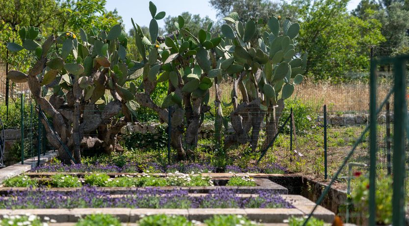 Photo of Italian Oasis