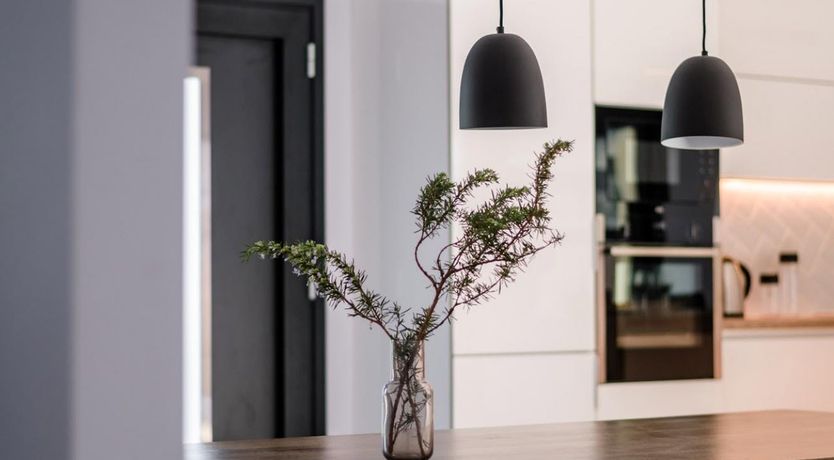 Photo of The Ocean is My Name