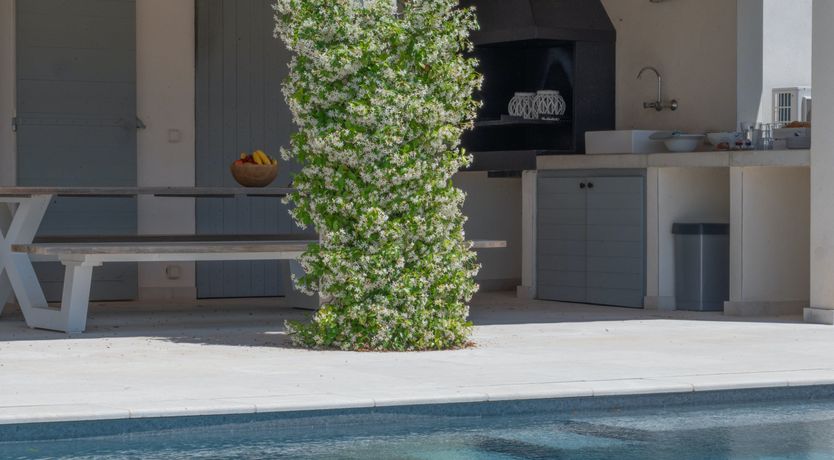 Photo of Mont Ventoux Retreat