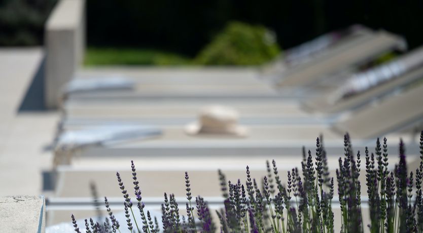Photo of Mont Ventoux Retreat