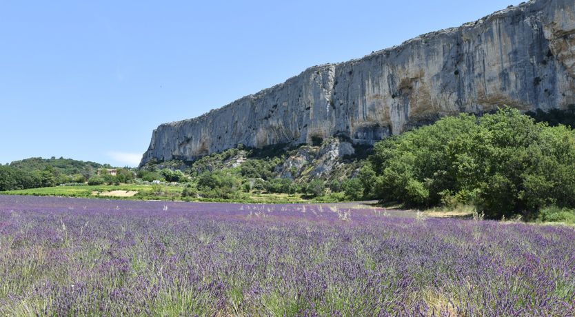 Photo of Mont Ventoux Retreat