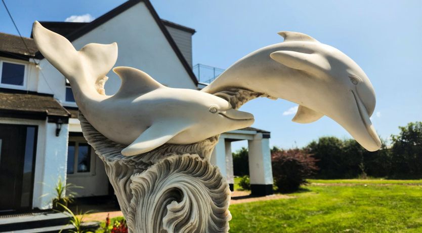 Photo of Tide's Embrace