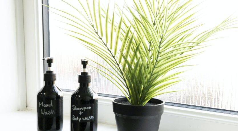 Photo of Tide's Embrace