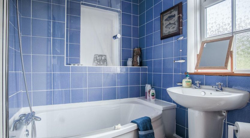 Photo of Bristol Breeze