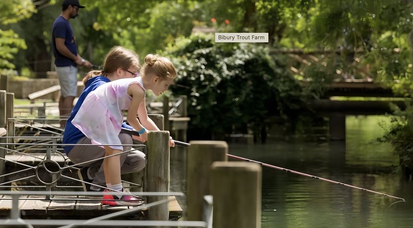 Photo of The Charming Stone