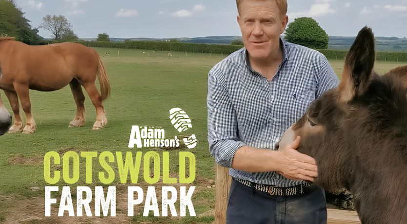 Photo of The Charming Stone