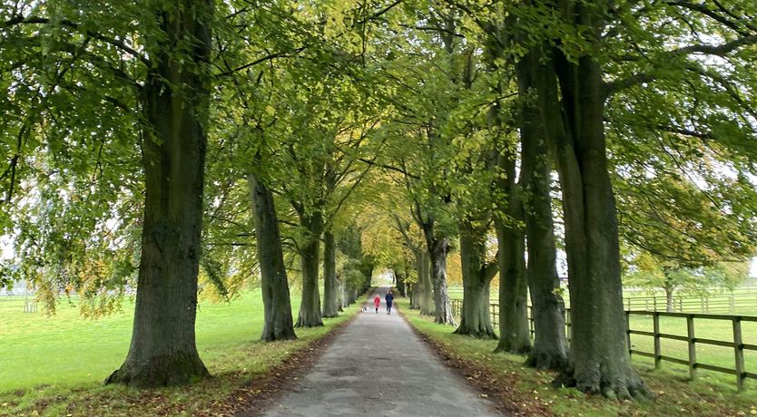 Photo of The Charming Stone