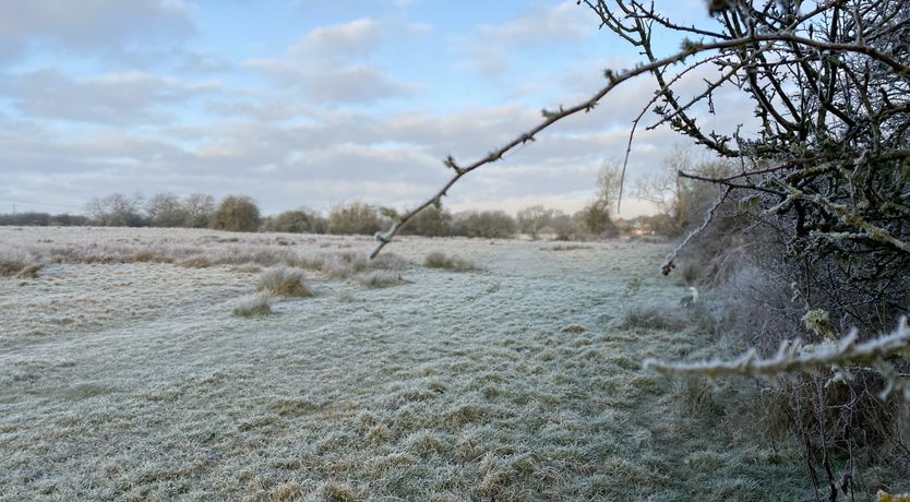 Photo of The Charming Stone