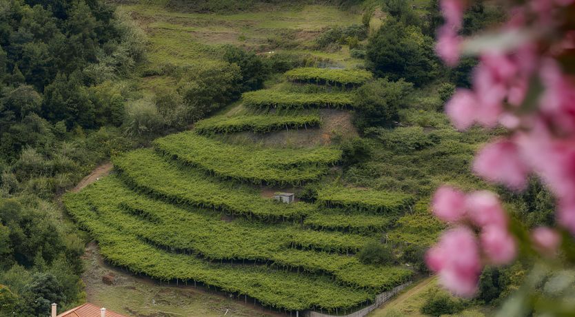 Photo of Relax & Unwind