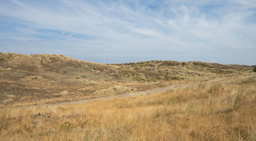 Photo of Embellishing Images