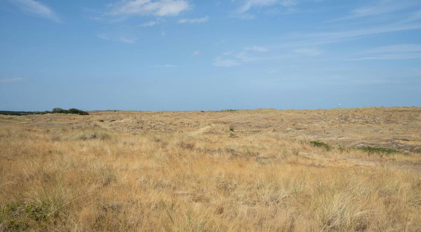 Photo of Embellishing Images