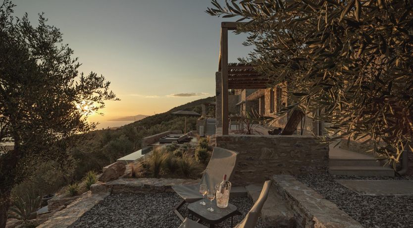 Photo of Green Olives