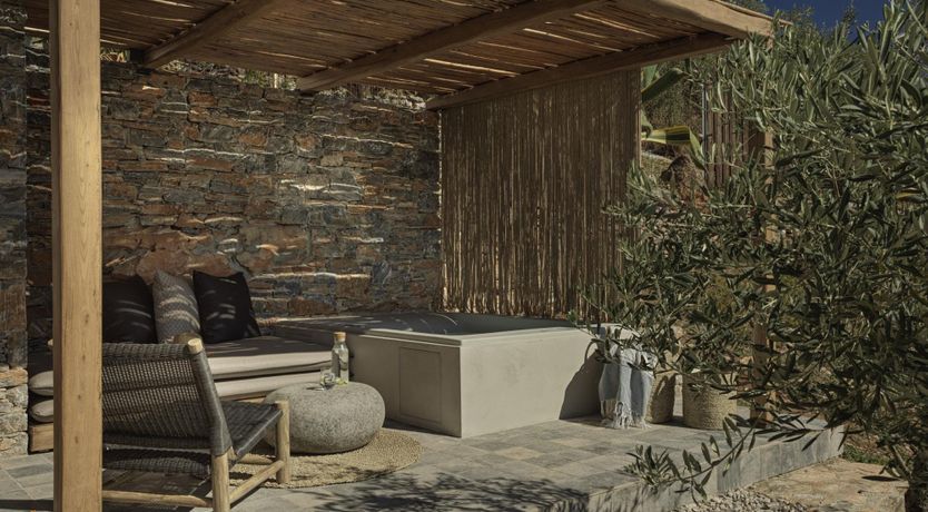 Photo of Green Olives