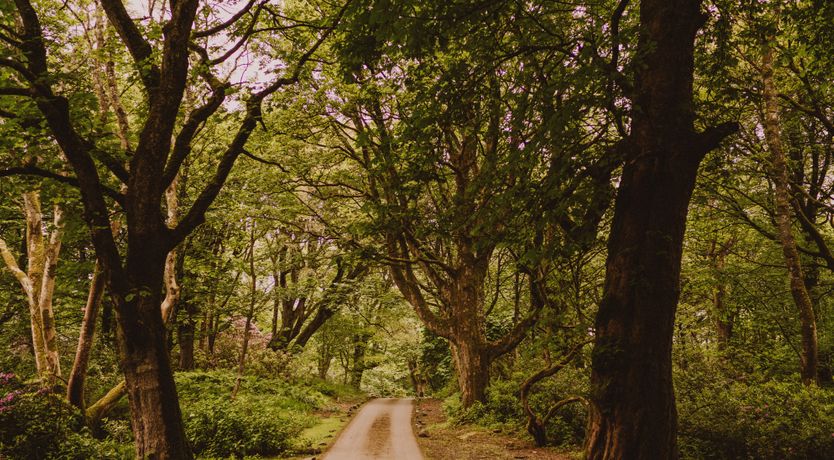 Photo of Dock on the Loch