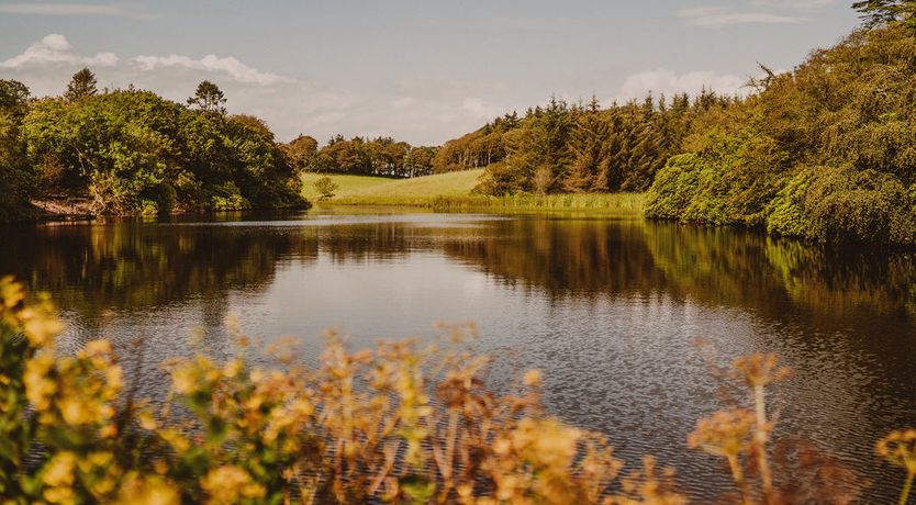 Photo of Dock on the Loch