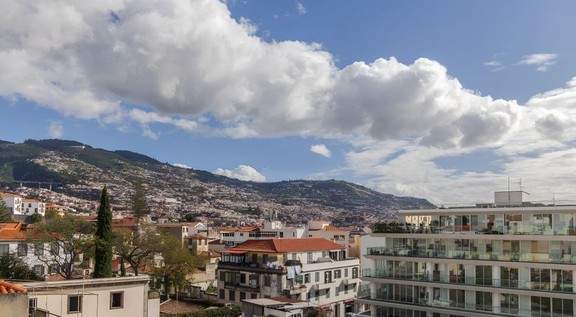 Photo of Shine a Light on Seagulls