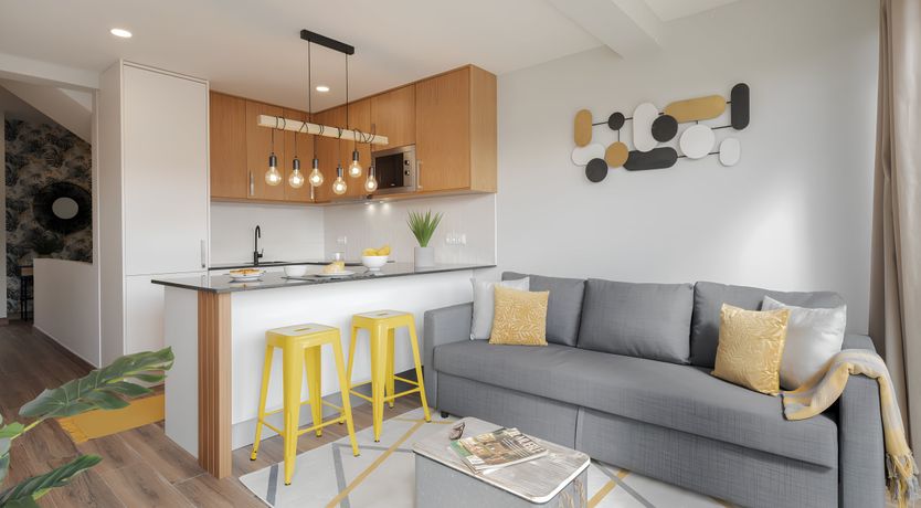 Photo of Shine a Light on Seagulls