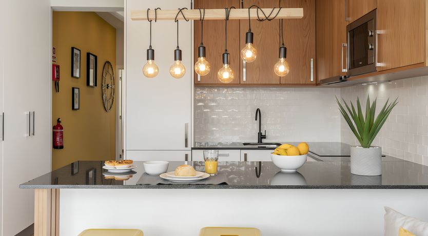 Photo of Shine a Light on Seagulls