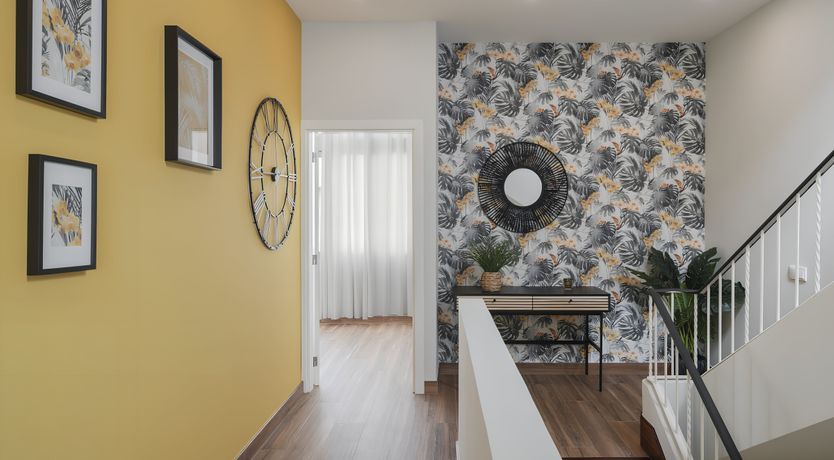 Photo of Shine a Light on Seagulls