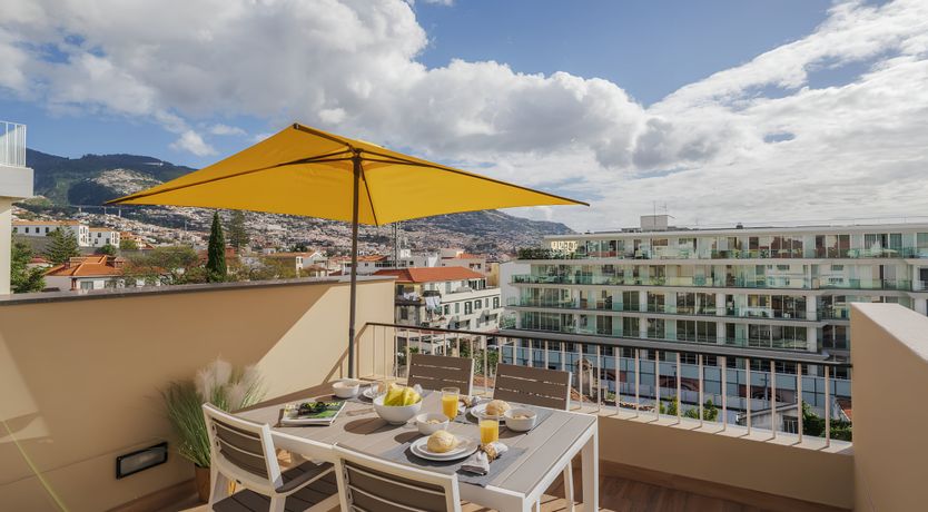 Photo of Shine a Light on Seagulls