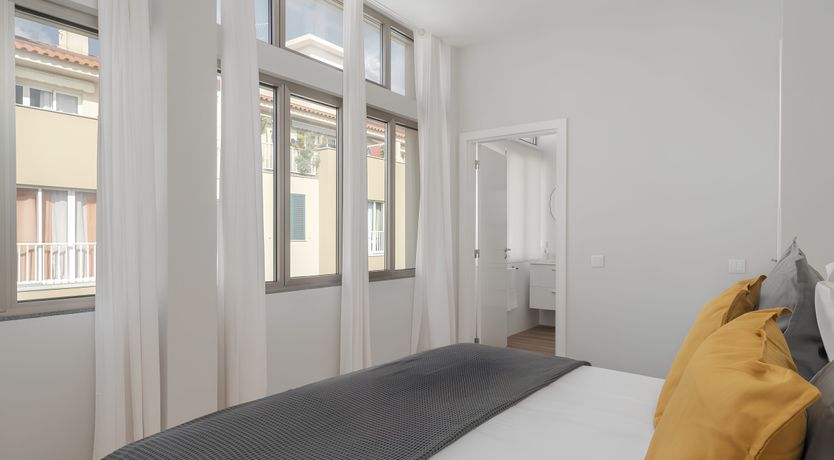 Photo of Shine a Light on Seagulls