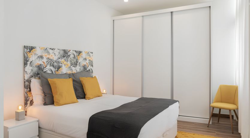 Photo of Shine a Light on Seagulls