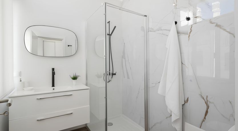 Photo of Shine a Light on Seagulls