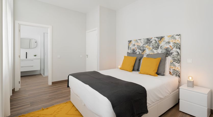 Photo of Shine a Light on Seagulls