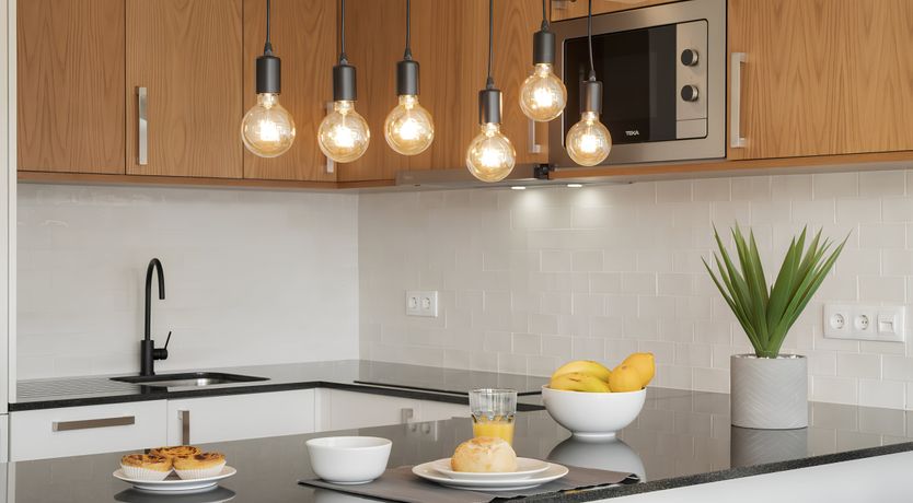 Photo of Shine a Light on Seagulls