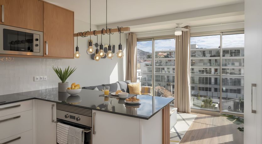 Photo of Shine a Light on Seagulls