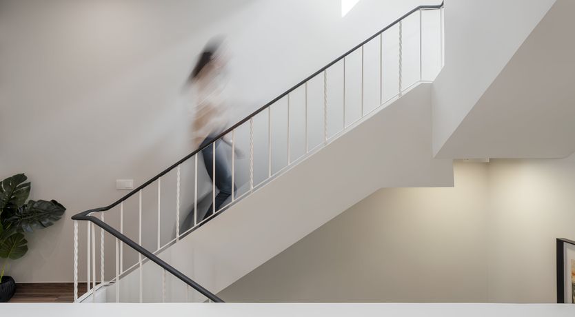 Photo of Shine a Light on Seagulls