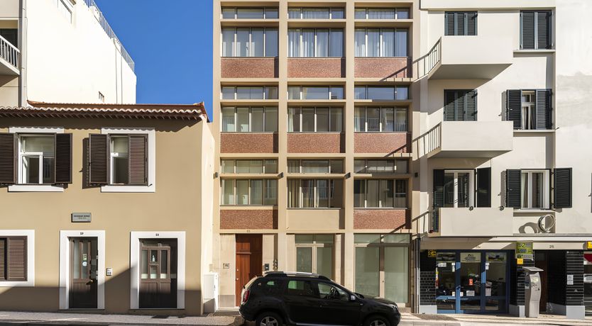 Photo of Shine a Light on Seagulls