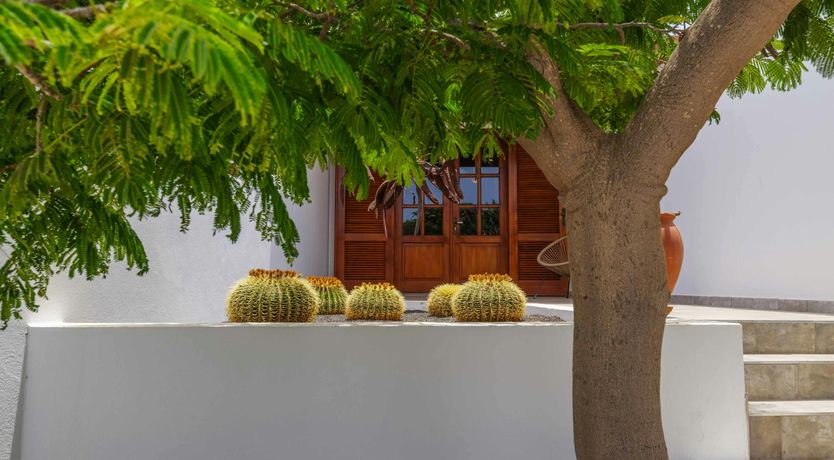 Photo of El Amiga del Mar