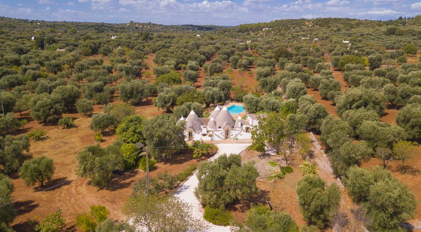 Photo of Rosemary & Oil