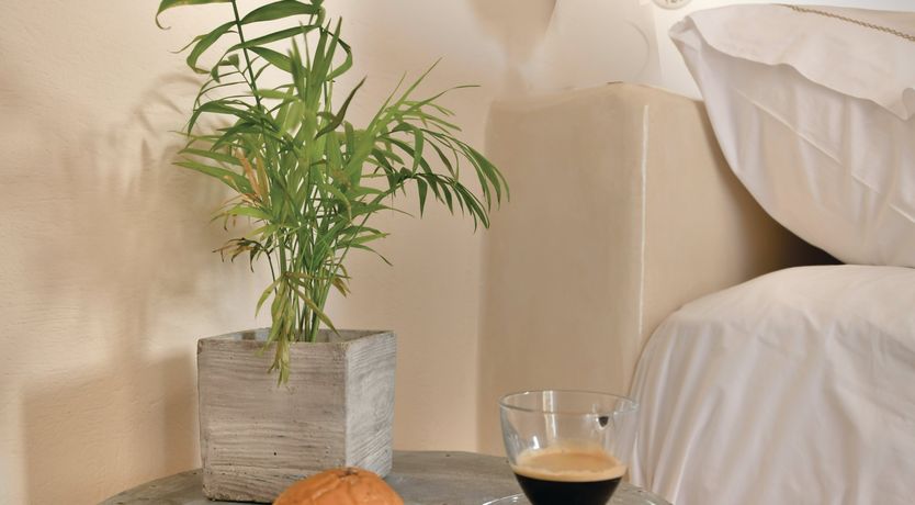 Photo of The Horizon's Cradle