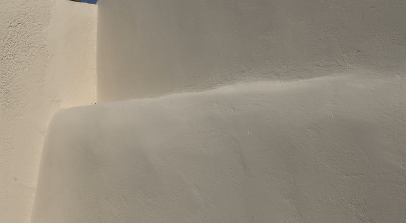 Photo of The Horizon's Cradle