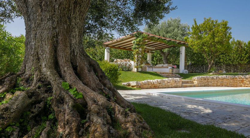 Photo of Olive Whispers