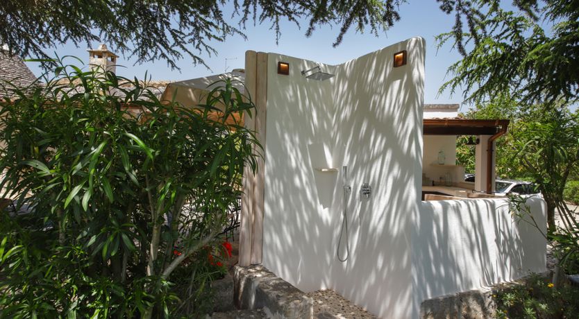 Photo of Olive Whispers