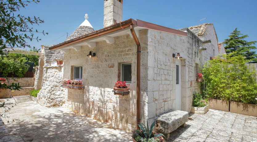 Photo of Olive Whispers